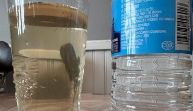 City of Charlottetown warns residents not to drink discoloured water