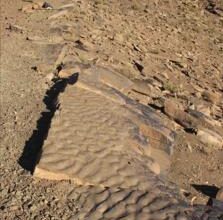 Look again! Those wrinkly rocks may actually be a fossilized microbial community