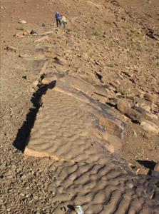 Look again! Those wrinkly rocks may actually be a fossilized microbial community