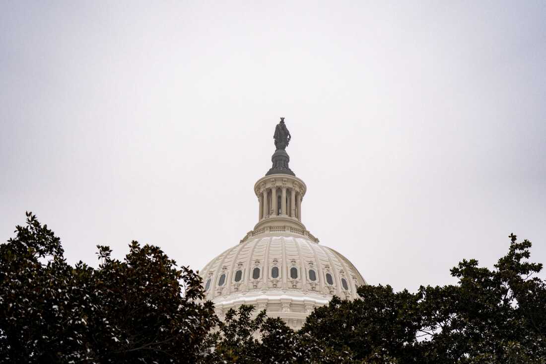 The dome of the U.S. Capitol is framed through a tree on January 25. Snow had accumulated in various nooks of the come.