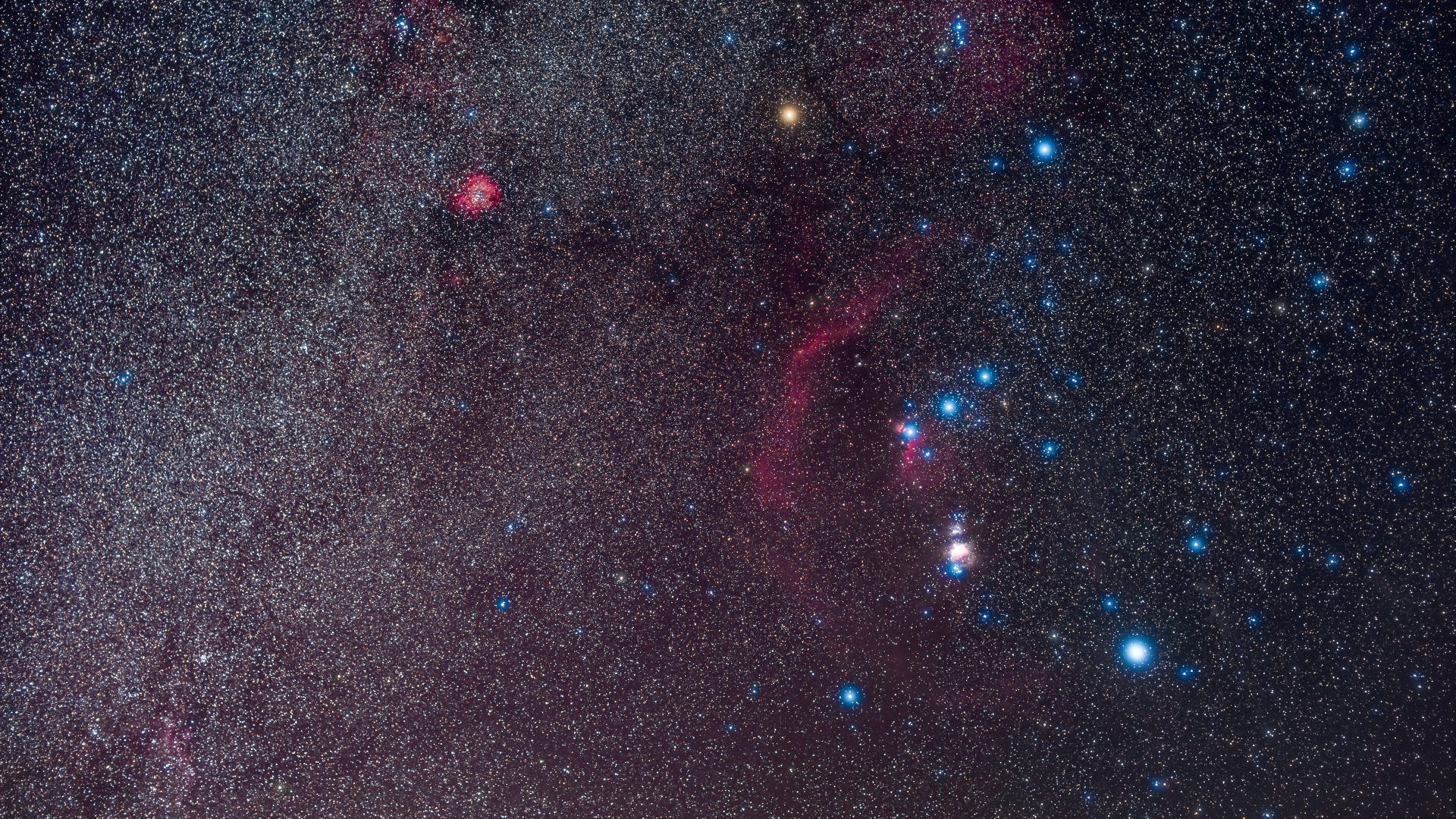 The stars of the constellation Orion are pictured shining in a night sky teeming with dimmer stars.