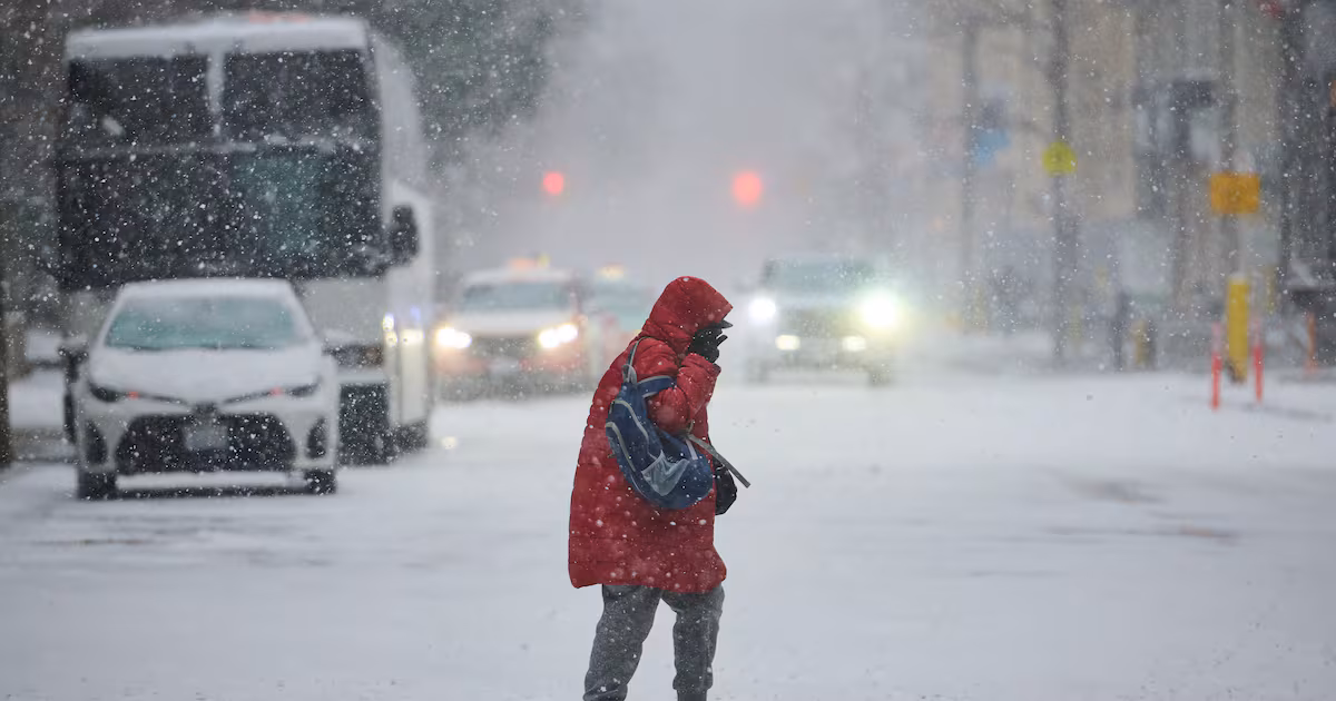 Special weather statement for Toronto has ended. Here’s the Family Day long weekend forecast - CTV News
