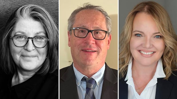 Premier Tim Houston's campaign co-chair among newest Nova Scotia judges