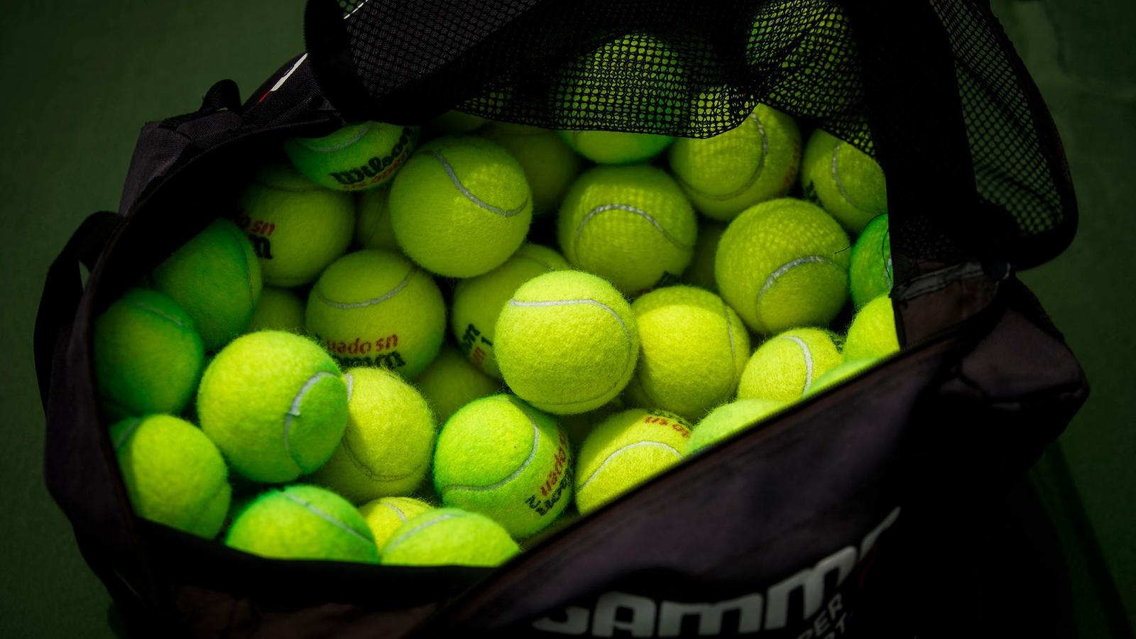 University of Cincinnati Logo