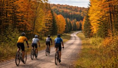Experience gravel cycling in almaguin highlands: missing link tours 2026