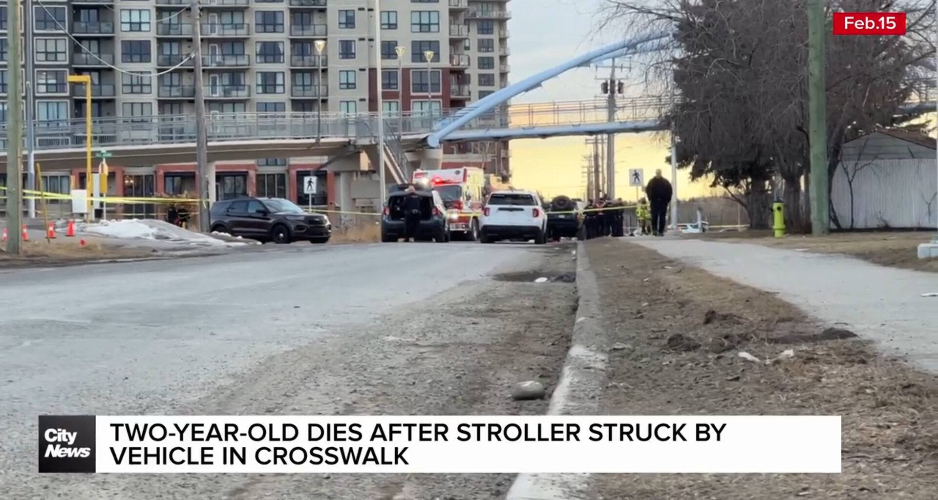 Two-year-old dies after stroller struck by vehicle in SW Calgary crosswalk