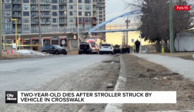 Two-year-old dies after stroller struck by vehicle in SW Calgary crosswalk