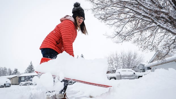 Get ready for return of winter in Alberta with heavy snowfall in forecast
