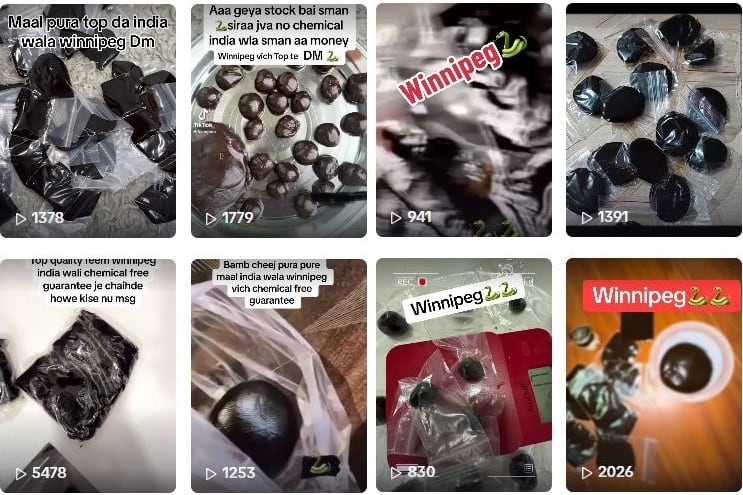 Tiles of social media posts show various images of a black substance in plastic bags.