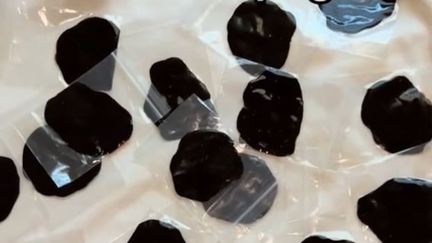 TikTok shuts down 2 accounts promoting opium in Punjabi within Winnipeg