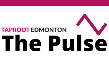 The Pulse: Feb. 17, 2026