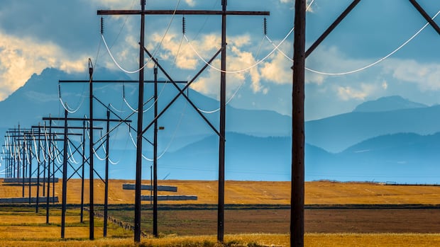 Alberta’s AI data centre boom unleashes ‘gold rush’ for electricity allotments