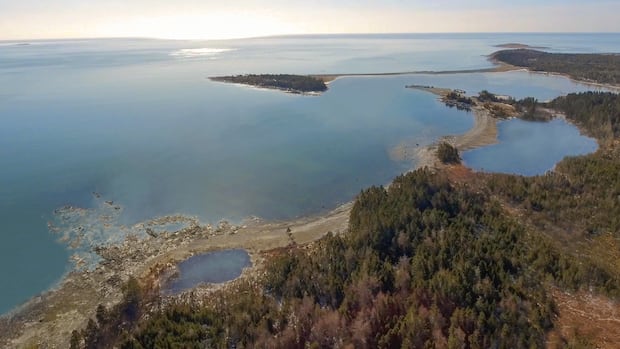 Eager to unload 2 orcas, French government learns more about Nova Scotia proposal