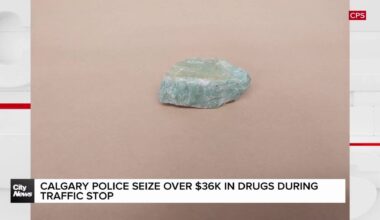 Calgary police seize over $36K in drugs during traffic stop