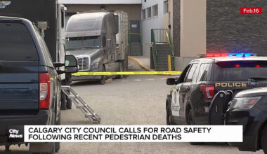 Calgary city council calls for road safety following recent pedestrian deaths