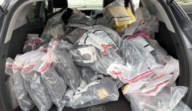 Nearly 200 charges laid in Mississauga break-and-enter investigation