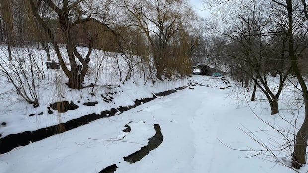 Toronto residents claim city project is faulty, will worsen flooding in Rockcliffe-Smythe