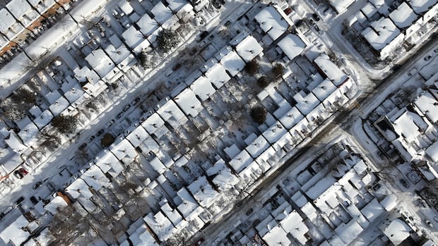 National real estate association blames Ontario snowstorm for cooling housing sales in January