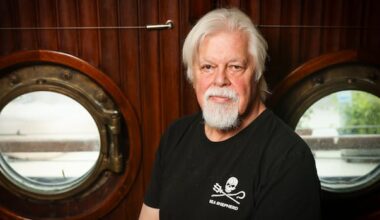 Anti-whaling campaigner Paul Watson slams Nova Scotia's Whale Sanctuary Project