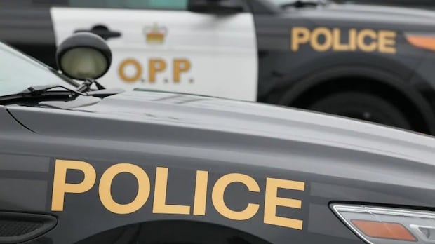 8th person charged in connection with 2025 home invasion near Huntsville, Ont., OPP says