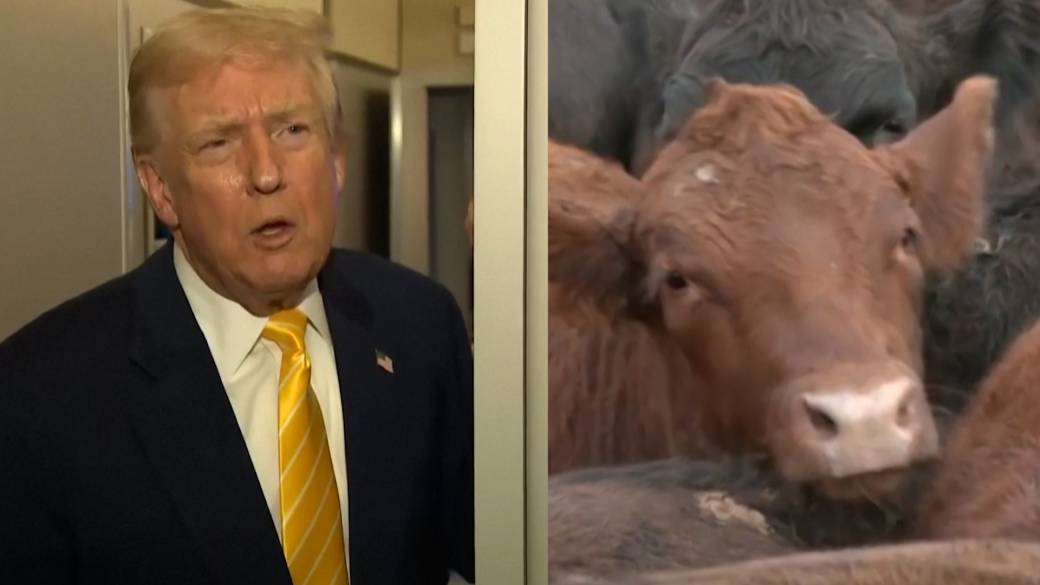 Click to play video: 'Trump cuts tariffs on beef, coffee and other foods amid rise in inflation concerns'