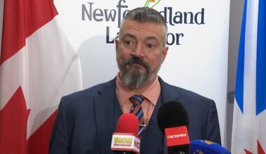 Another setback hits N.L.’s once touted wind-to-hydrogen industry