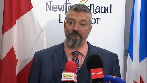 Another setback hits N.L.’s once touted wind-to-hydrogen industry