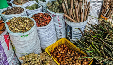 How regulatory shortfalls are shaping herbal medicine trade