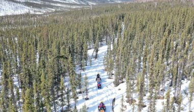 Sinking trees into the Arctic Ocean could reduce carbon emissions. But is it worth it?