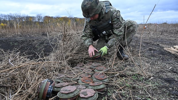 Poland formally withdraws from Ottawa Convention on landmines, citing Russian threat