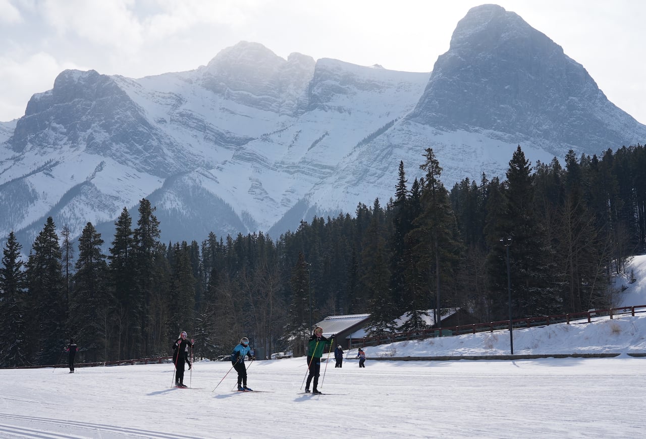 Skiers passed into front of a row of pine trees with large snow-covered mountains in the background.