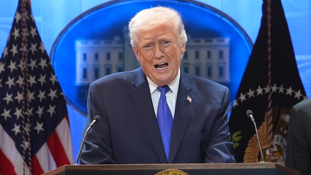 What's next for Trump's tariffs after Supreme Court ruling