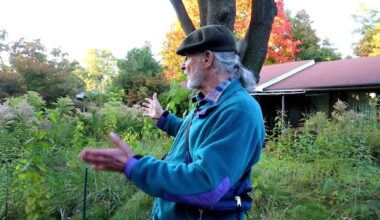 A Mississauga man took the city to court over not mowing his lawn — and won