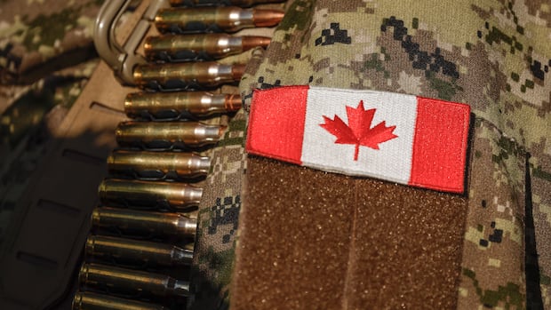 Edmonton Region Defence Alliance launches day after PM unveils defence strategy