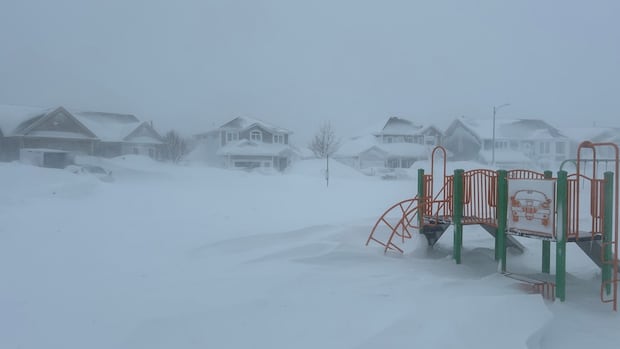 Thousands experience power outages as snowstorm pounds Avalon Peninsula