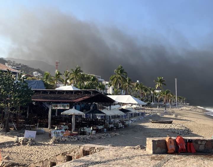 A beach with several palm tries. The background is covered in smoke