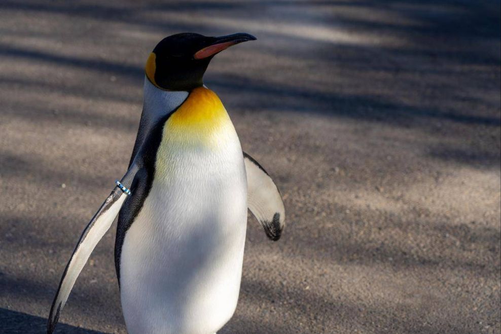 calgary things to do march