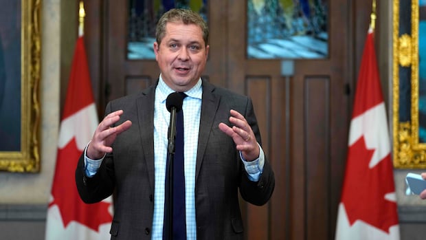 Liberals accept Conservative proposals to limit 'immense' cabinet powers in budget bill