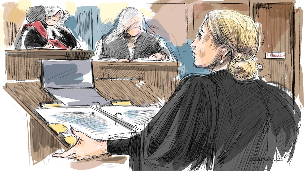 Stronach's lawyer Leora Shemesh cross examines the woman about her testimony on Monday in comparison to previous statements to police.