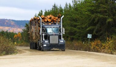 Atikamekw and Innu leaders file lawsuit over ancestral land rights in Quebec