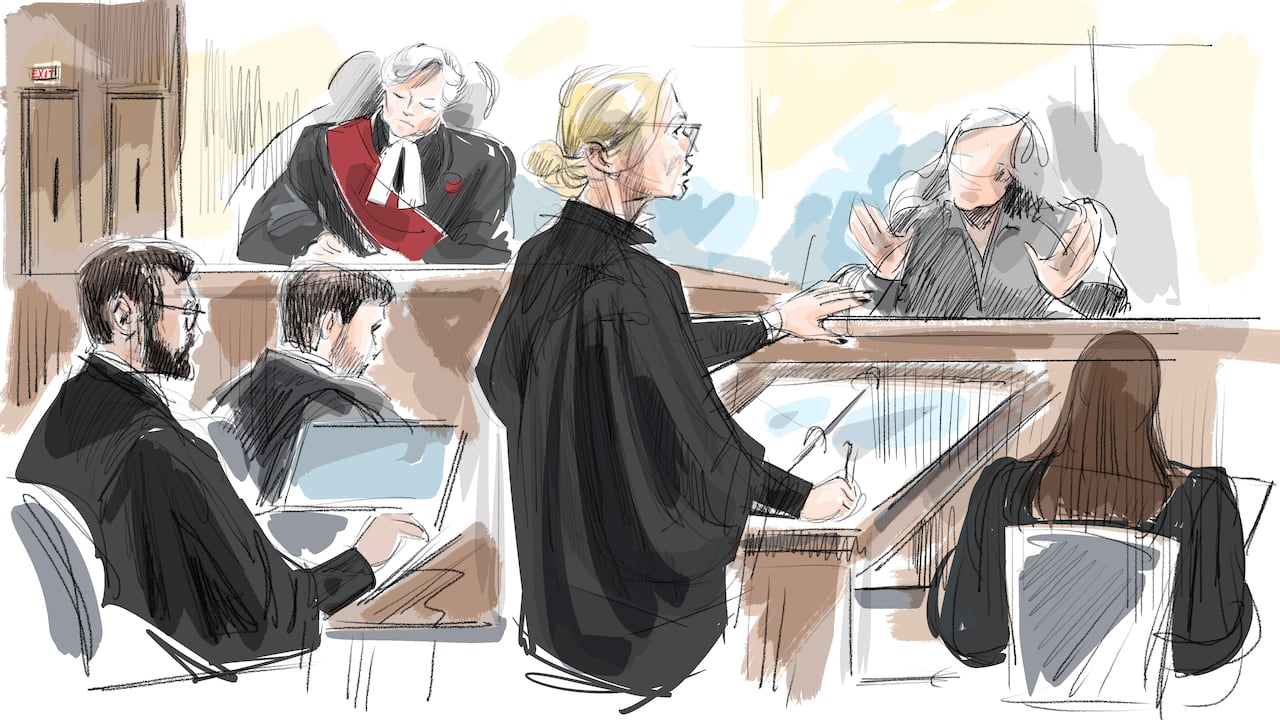 Stronach's lawyer Leora Shemesh cross-examines the fifth complainant about her testimony. 