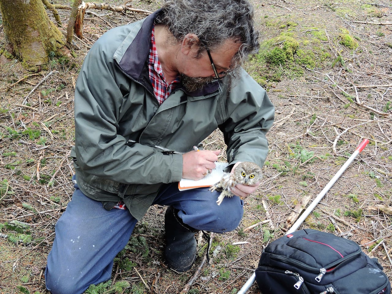 A man in a green jacket crouches on the forest floor, jotting notes with one hand and clutching a small owl with the other.