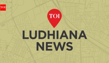 Dowry allegation as Canadian family from Brampton abandons bride in Punjab. | Ludhiana News