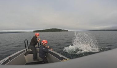 Shrinking cold-water habitat means more whales get caught in nets, research finds