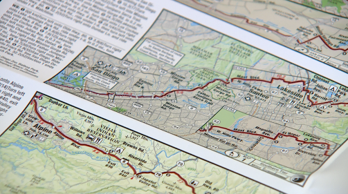 Debbie Jackson Tucci