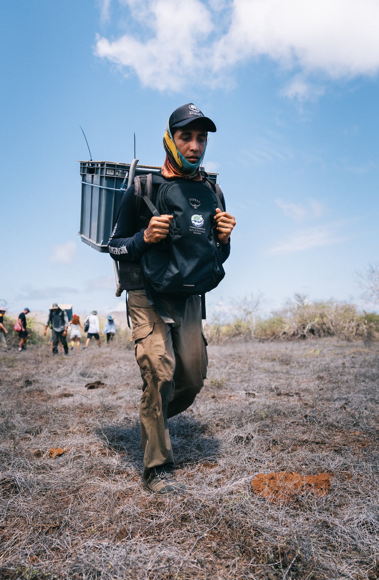 A man carrying a crate with one of the giant tortoises to the release site.
