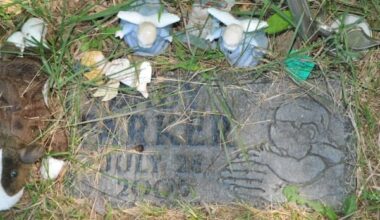 Brantford, Ont., police make arrest, lay charges 20 years after newborn's body discovered on trail