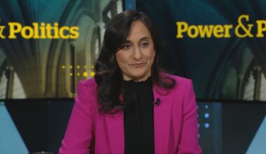 Foreign minister won't confirm whether Ottawa thinks Indian interference stopped