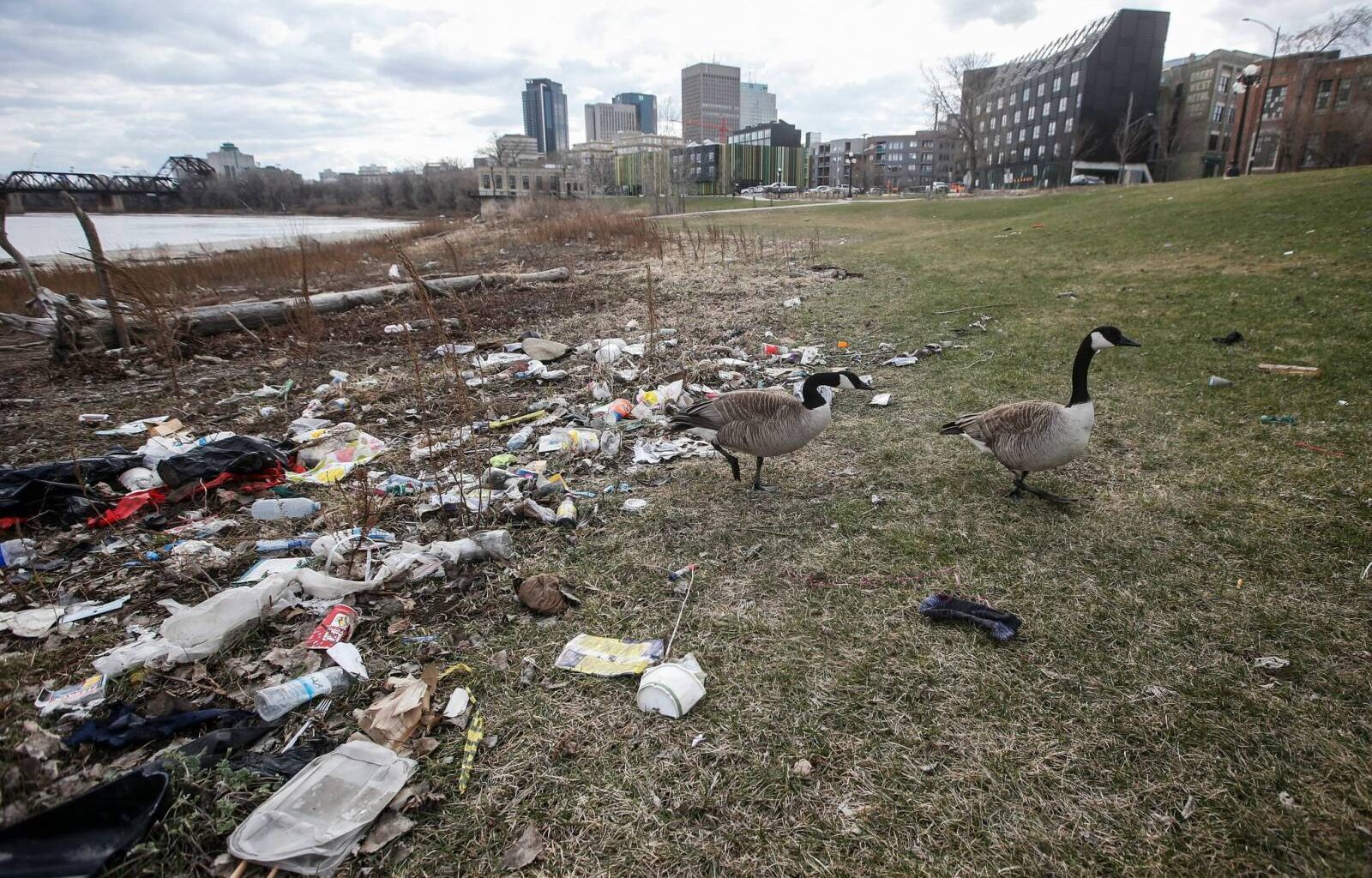 report – Winnipeg Free Press