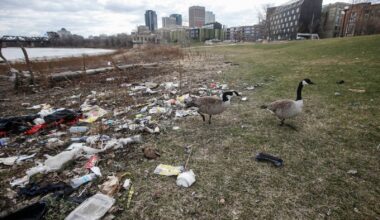 report – Winnipeg Free Press